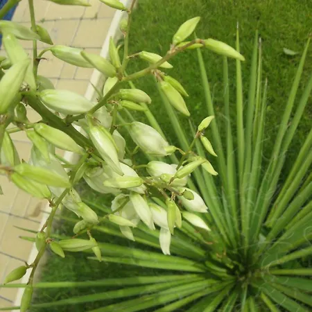 Hotell Botanic Parc Chişinau